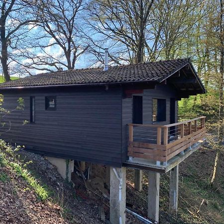 Gites Douillets : Chalet Sur Pilotis Houyet Luaran gambar