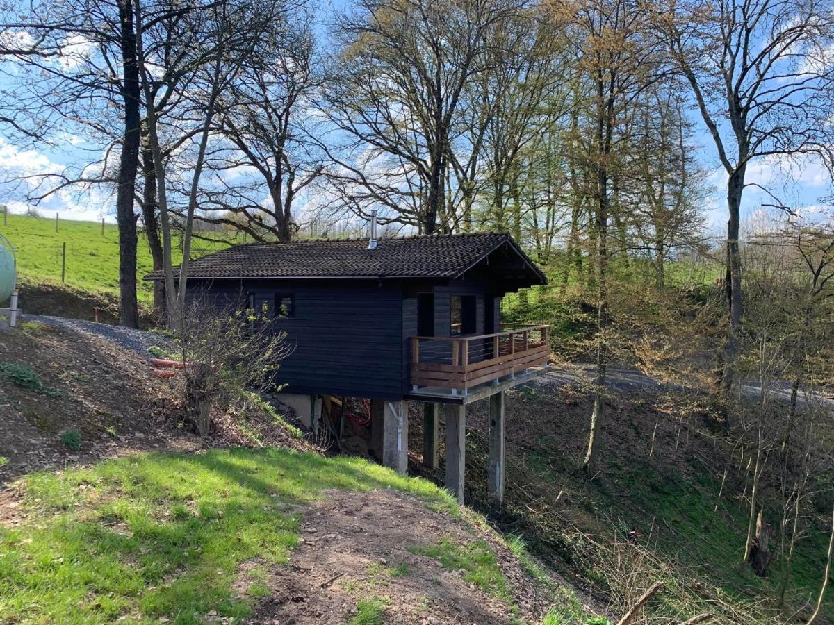 Gites Douillets : Chalet Sur Pilotis Houyet Luaran gambar